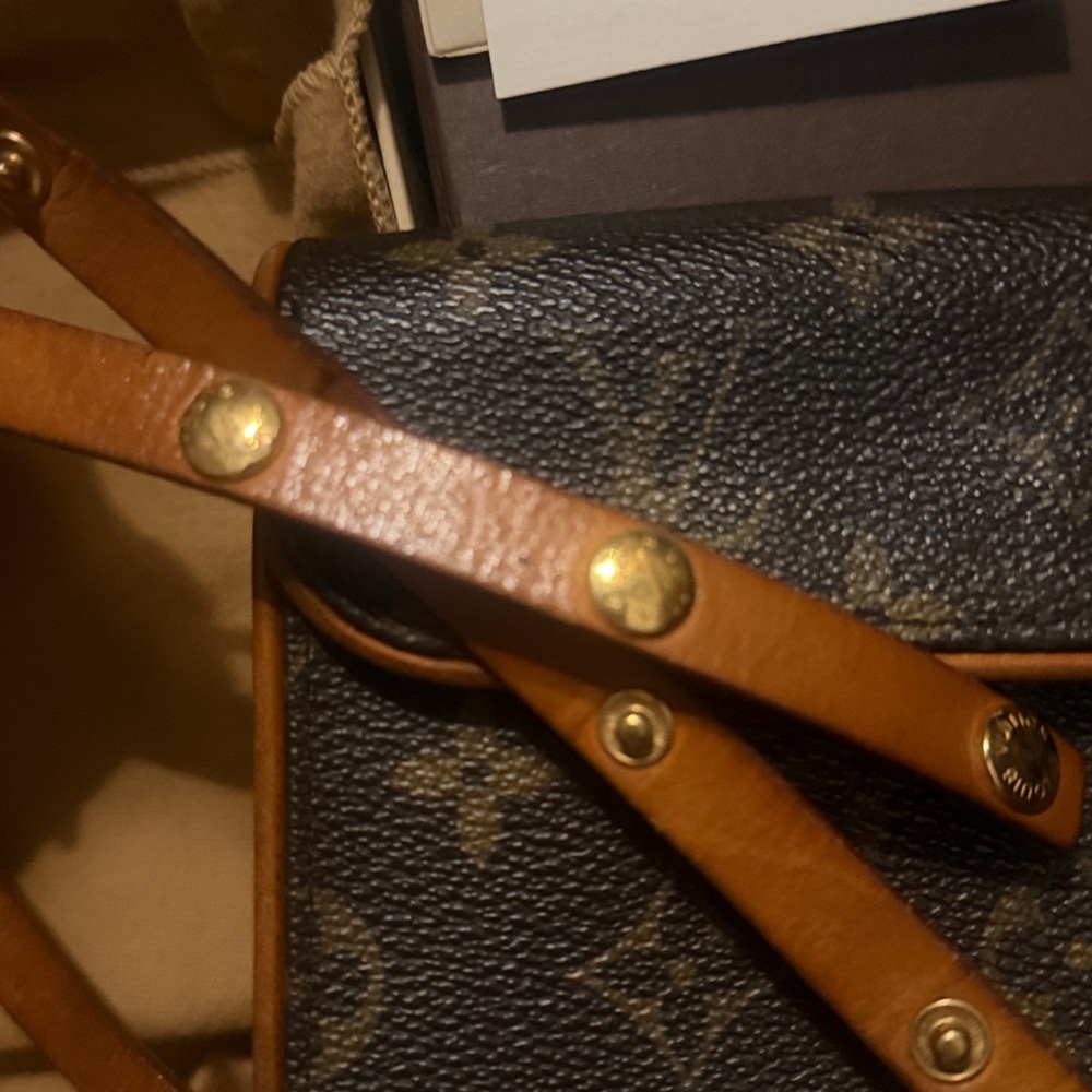 Louis Vuitton Pochette Florentine Crossbody/Waist Bag - Picture 10 of 13